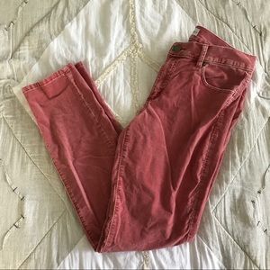 Velvet LOFT Pants